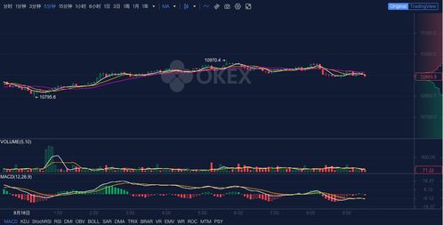 欧易OKEX平台上做空比特币的多元途径解析