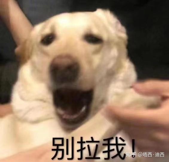 我宣布,游戏搬砖真的很靠谱!下班时间一天280+!我把csgo游戏搬砖项目推荐给你!