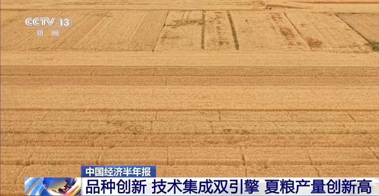 视频丨我国夏粮产量创新高 丰收的背后有哪些硬核支撑?