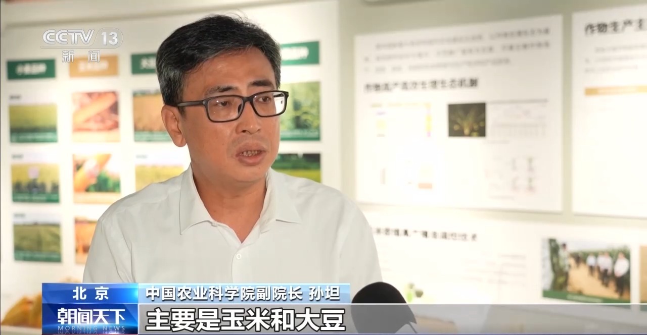 视频丨我国夏粮产量创新高 丰收的背后有哪些硬核支撑?