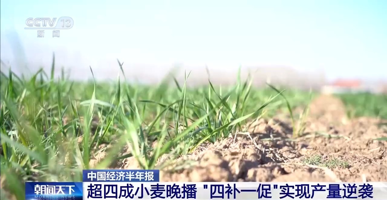 视频丨我国夏粮产量创新高 丰收的背后有哪些硬核支撑?