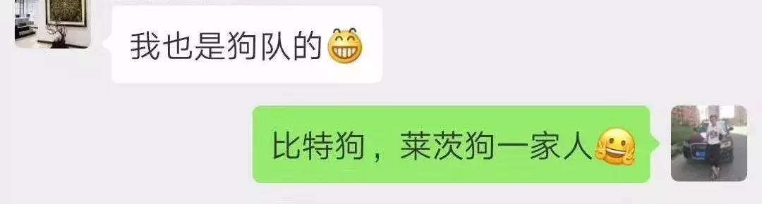 #净网2019#钱丢海里听个响，买山寨币等于看个图