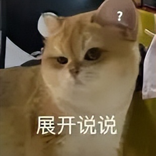 让我们认识一下今天的主角——ChatExcel