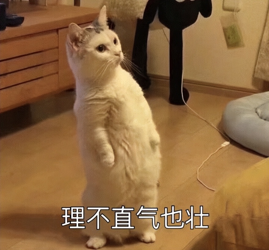 让我们认识一下今天的主角——ChatExcel