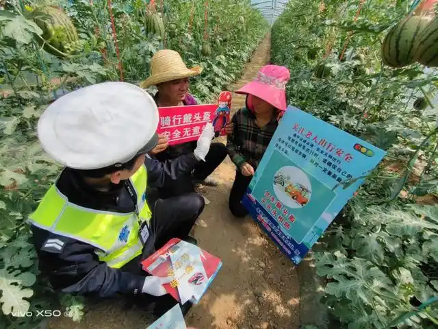 排查娱乐场所网吧隐患_蒲城县公安局春季治安清查整治行动_蒲城县花炮电话