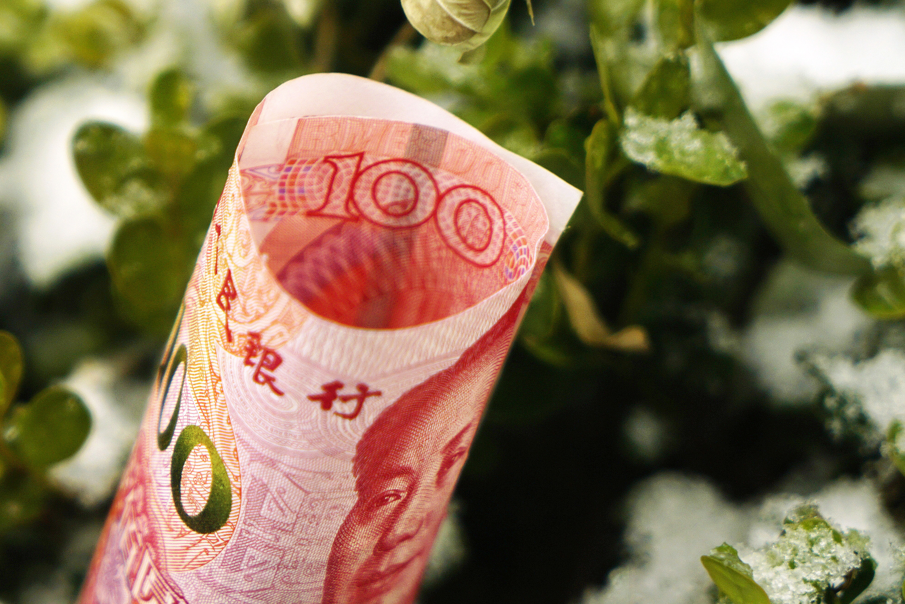 人均持有现金增至约1万！扫码支付无处不在，为何现金M0持续高增？