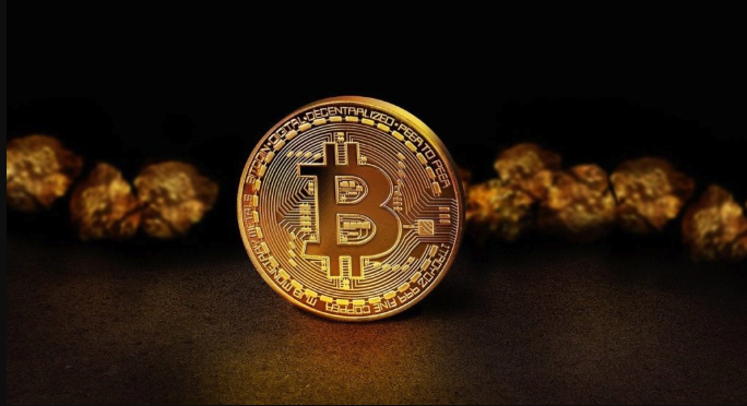 如何选择参与哪个公链生态?看开发者和用户数量