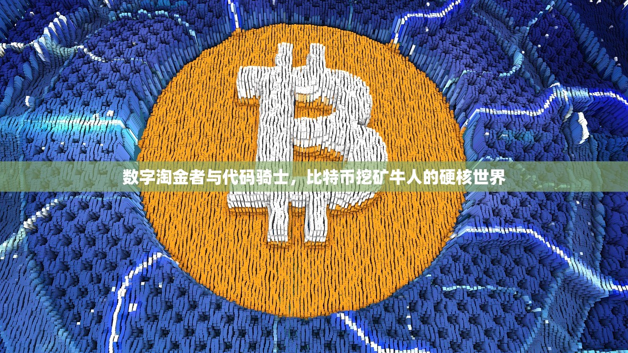 数字淘金者与代码骑士,比特币挖矿牛人的硬核世界