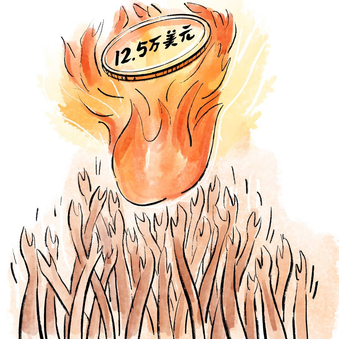 比特币,从神秘诞生到全球关注|画说热点