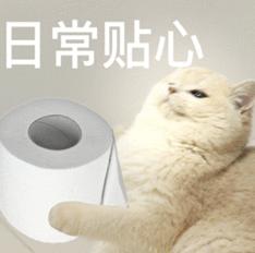 刚刚，Claude Mythos 5发布，5000万行代码1天搞定