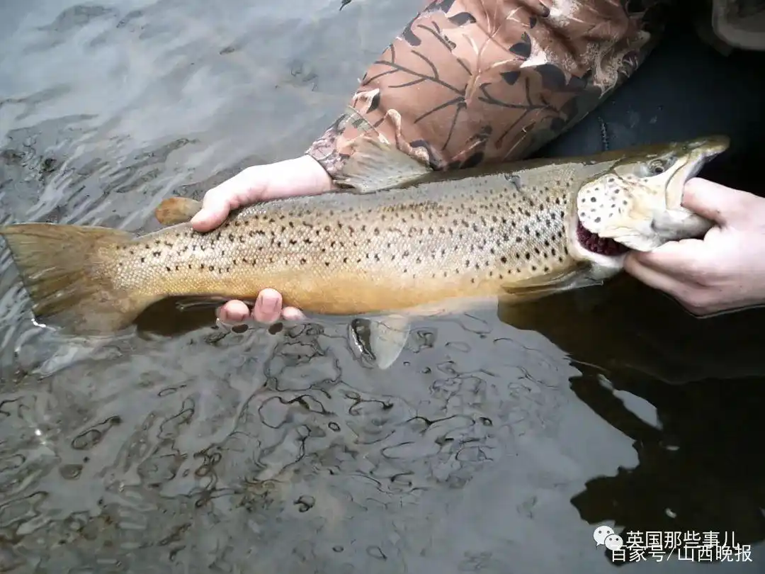 比特币对现实资源的冲击_怎么挖比特币视频_比特币挖矿造成电脑芯片短缺