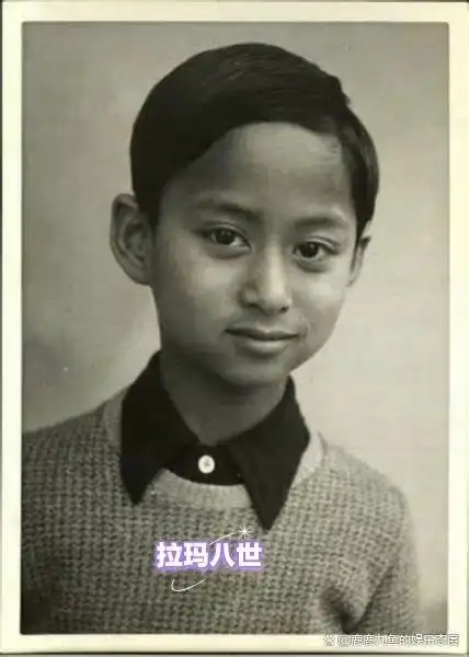 泰国现有几位亲王_泰国王位继承法历史_拉玛八世与拉玛九世