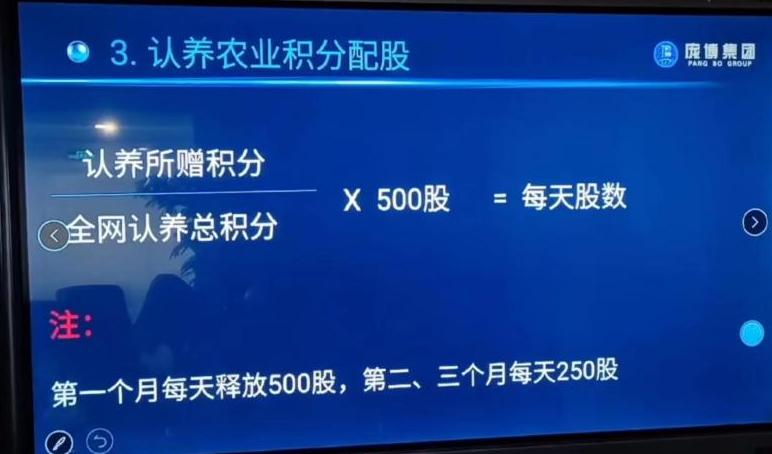 认养黑猪返利20%?“庞博集团”传销案始末:披着农业外衣的资金陷阱