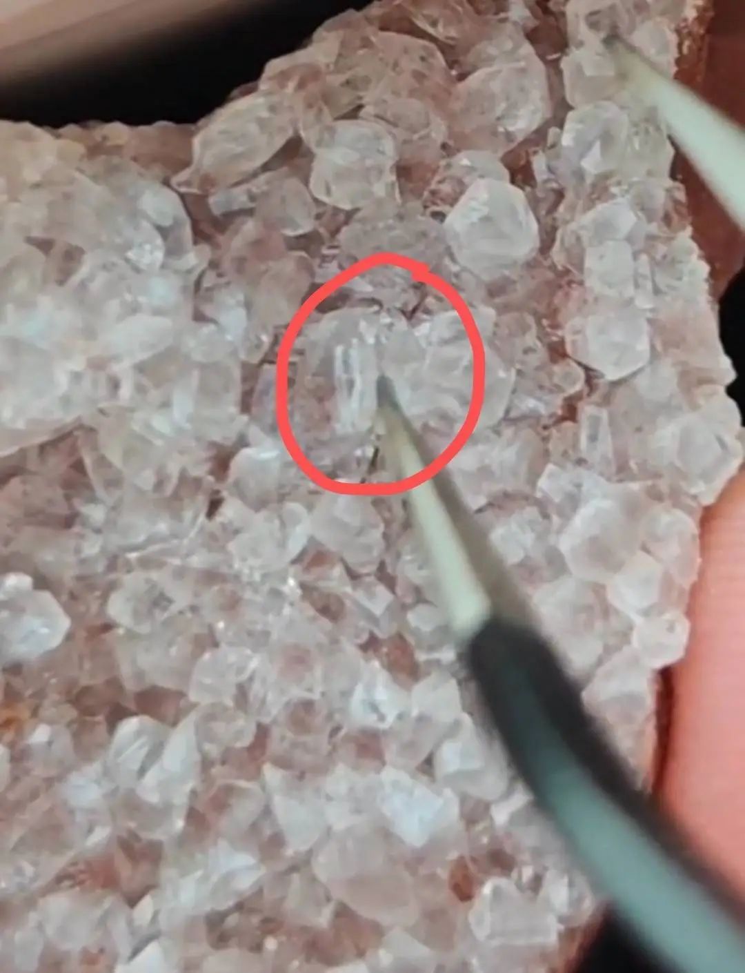 成都踏春挖“水晶”火了,个人可否随意挖采?
