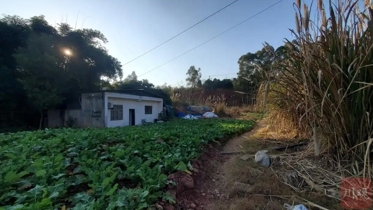 方解石挖掘地点_水晶矿场 宝石猜猜_成都挖水晶活动