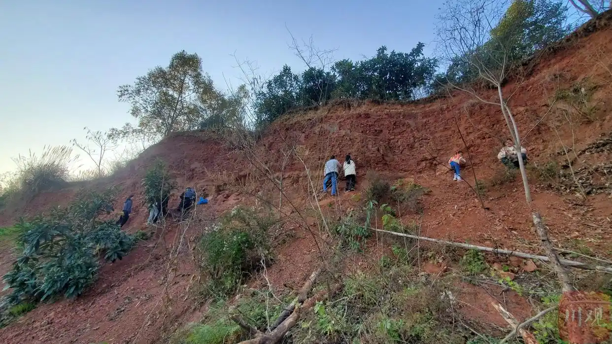 方解石挖掘地点_水晶矿场 宝石猜猜_成都挖水晶活动