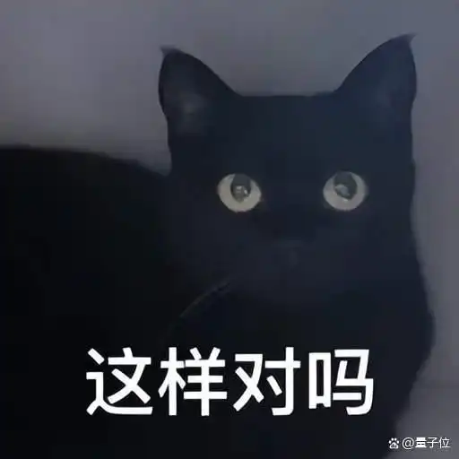 vpalt_代码Agent后训练闭环_具身智能世界模型训练环境