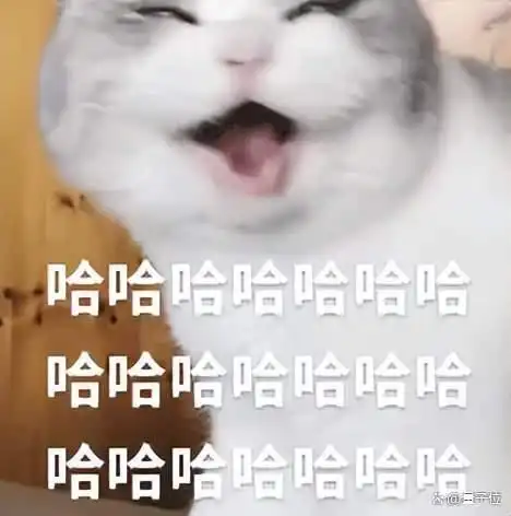 vpalt_代码Agent后训练闭环_具身智能世界模型训练环境