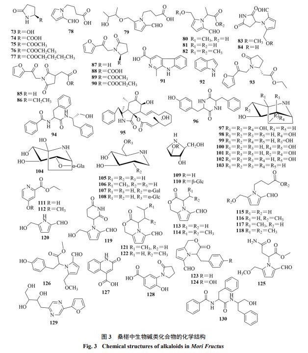 桑椹化学成分与药理作用研究进展