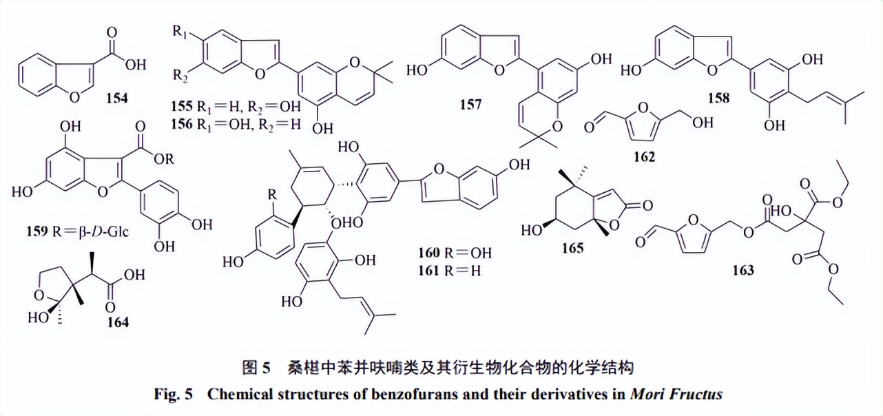 桑椹化学成分与药理作用研究进展