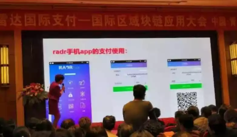 雷达币暴雷事件_雷达币运作逻辑_vpal