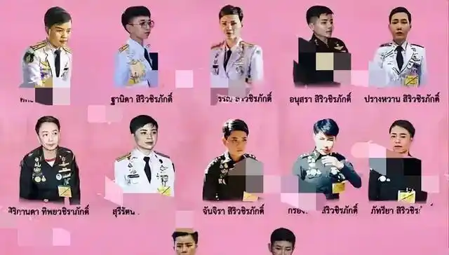 泰国国王玛哈后宫制度_泰国国王玛哈政治权力_泰国皇室亲王