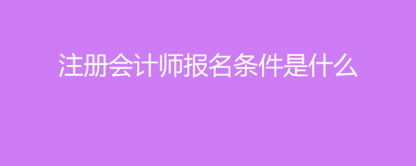cpa是什么意思