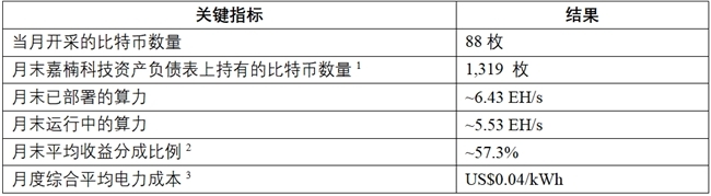 嘉楠科技公布2025年1月比特币产量及挖矿业务进展