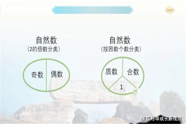 什么是质数,如何简单辨别,有哪些实际运用