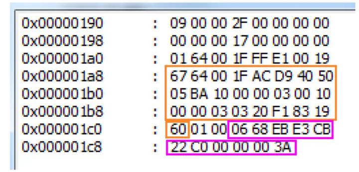 RTMP 视频数据封装